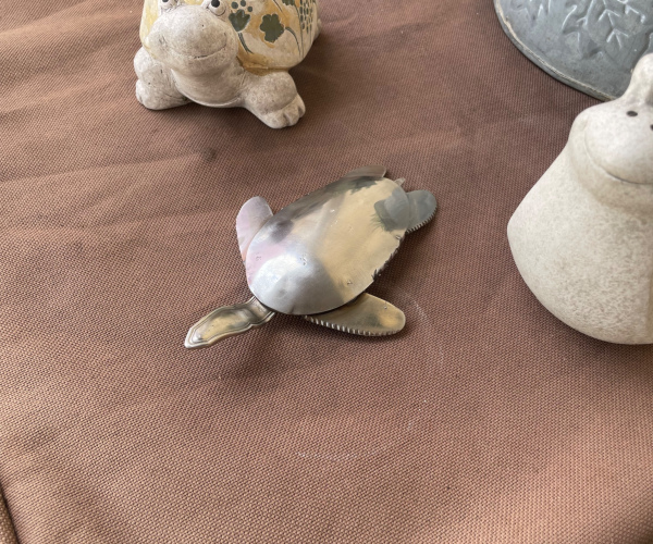 Tortue de mer